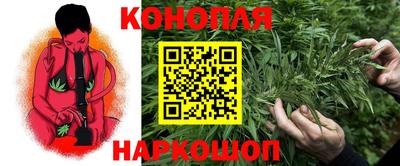 a pvp Заводоуковск